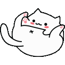 bongo_ass_cat