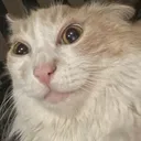 CE_CrazyLook CE_CrazyLook