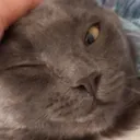 CE_Wink CE_Wink
