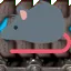 rat_blue_belt