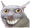 Cat_Looking