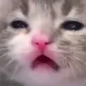 hhnghnng