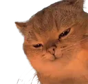 cathehe