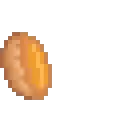 pumpkin_pie