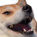 KekDog KekDog