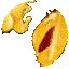 whysphere