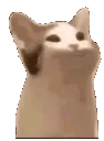 aaa