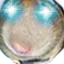 RattondoAwoken