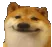 hehe hehe