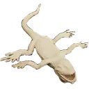 lizflop lizflop