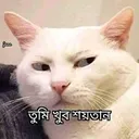 tmi_khub_soytan