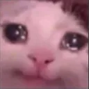 sadjr