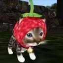 catfruit Discord Emoji