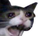 armin_cry Discord emoji