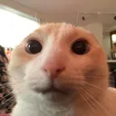 ganydeaf