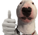 approved Discord emoji