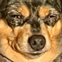 friskstare