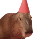 Partybara