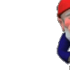 6316gnomehi
