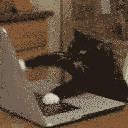 CatOnKeyboard Discord Emoji