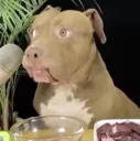 bro