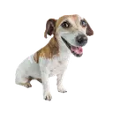Timmy Happy Discord Emoji