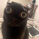 Scared