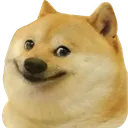 sa_wott_dogge