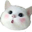 owo owo