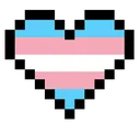 Transgender