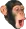 Pogchimp Pogchimp Discord Emoji
