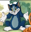 sapota