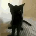holyfuck