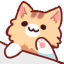 CatBongo