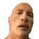 rock_eyebrow2