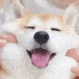 doggosmoosh