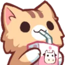 catsip