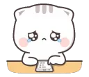 a_kitcry