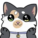 cat_gaze cat_gaze