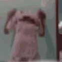 mikezindancando