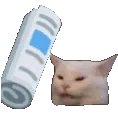 bap