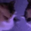 aaaa_catfight