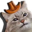 mrxlonConcernCat