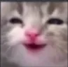 emoji_23 emoji_23