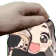 PetHai
