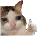 sadthumbsup