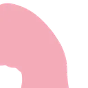 pig2susToprightcorner
