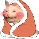 CatComf
