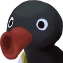 noot