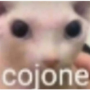 hk_melquiz Discord emoji